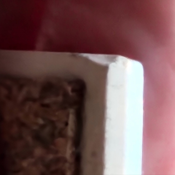 Haida Art - Blackfish Anthony Joseph - Picture 8 of 8